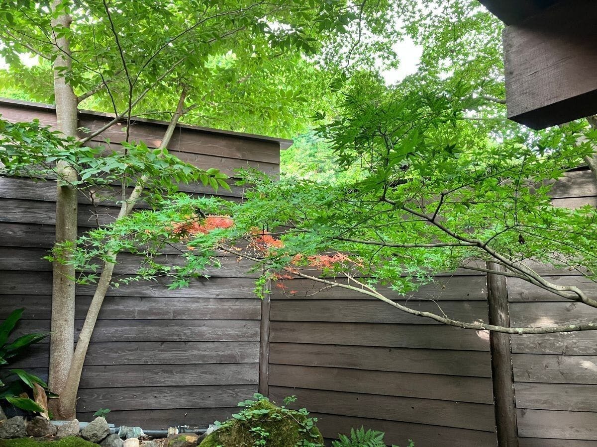 湯布院　樂涌