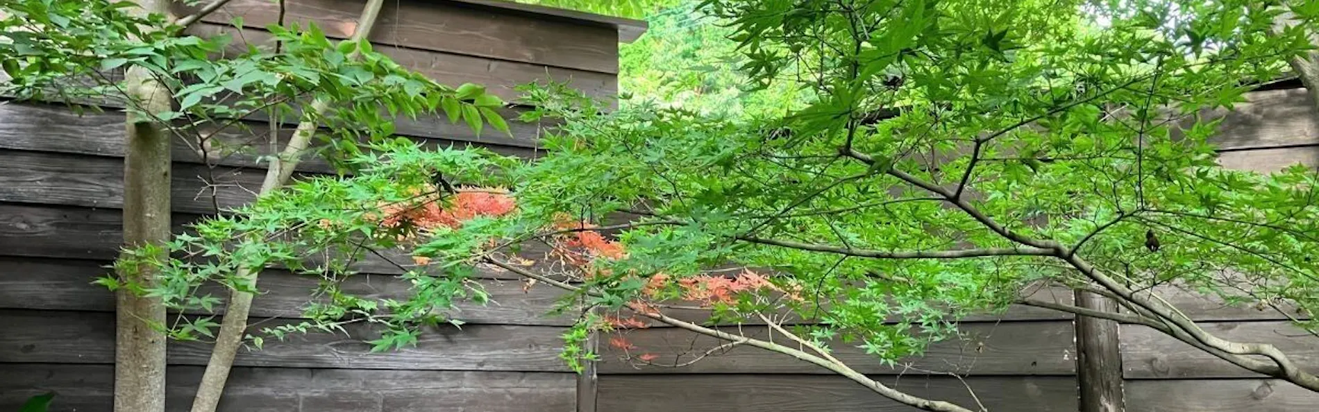 湯布院 樂涌