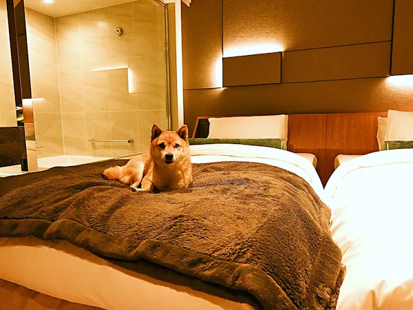 【ペットフレンドリー】愛犬と一緒に過ごすグリーンシーズン限定プラン (朝食付き)