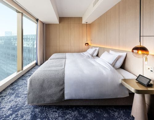 クラブデラックスツイン　平面図イメージ