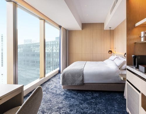 クラブデラックスダブル　平面図イメージ