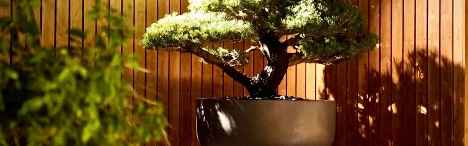 hotel nansui