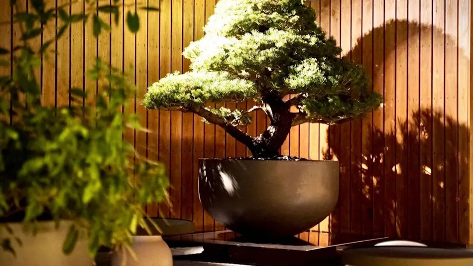 Hotel Nansui