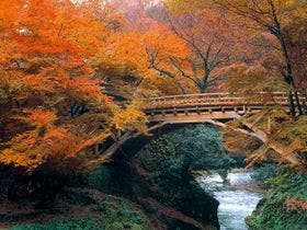 山中温泉河鹿荘