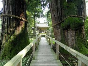 山中温泉河鹿荘
