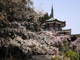 山中温泉河鹿荘