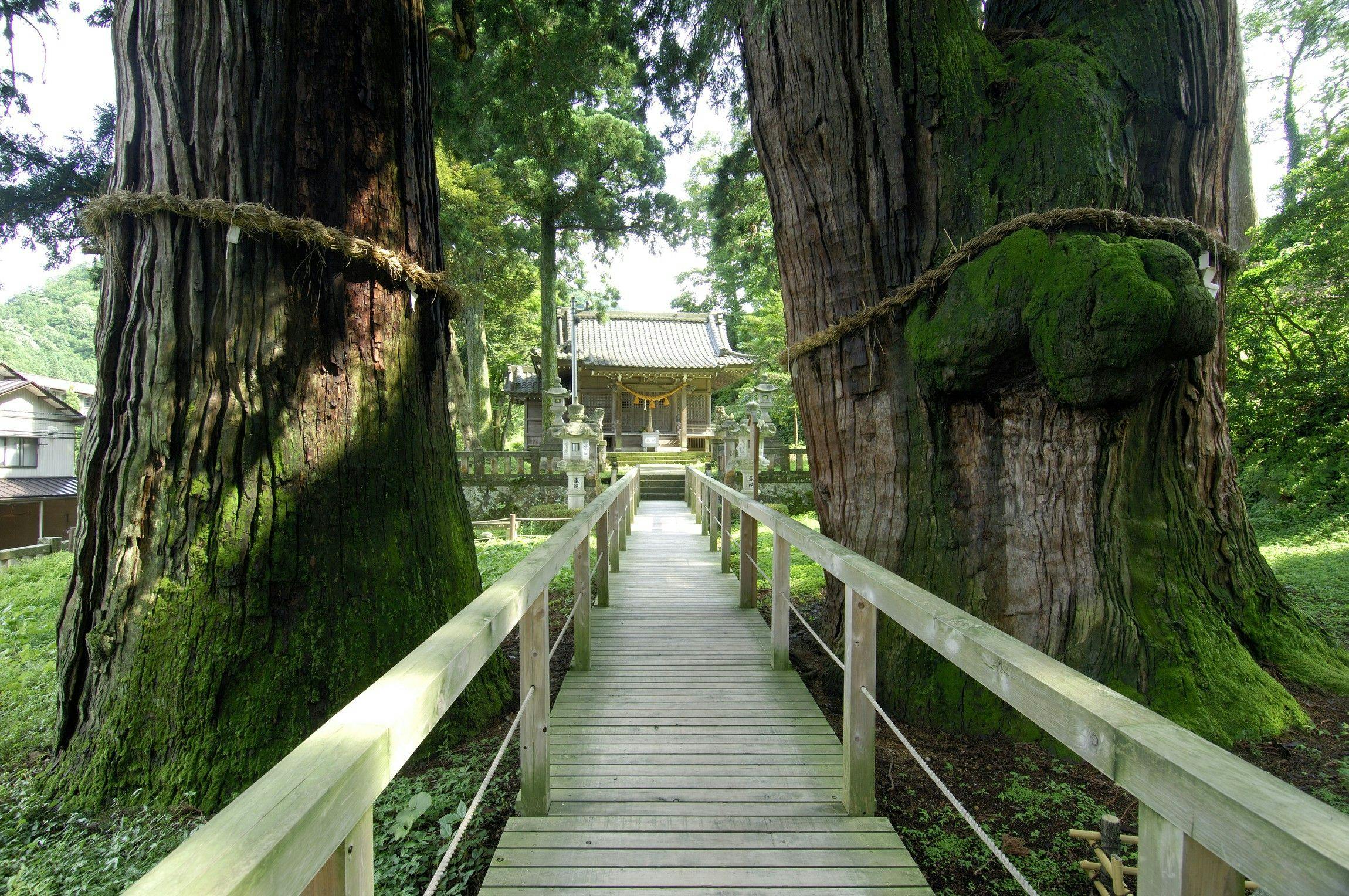 山中温泉河鹿荘