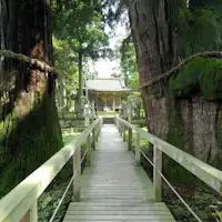 【คายาโนะ โอสึงิ】