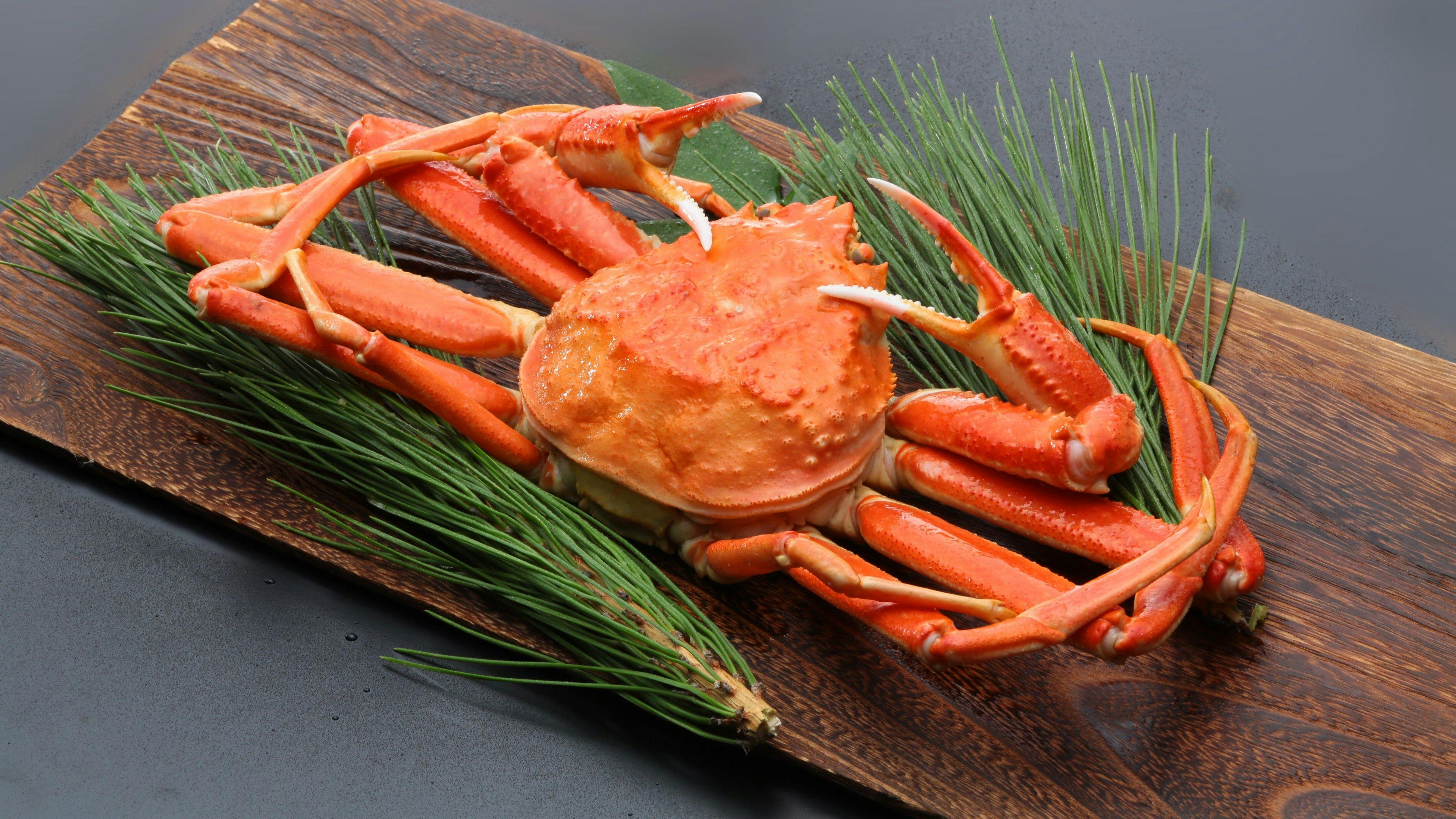 【Pelan Terhad Musim Sejuk】Bila sebut musim sejuk di Shimane, ketamlah jawapannya!