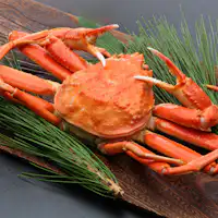 【Pelan Terhad Musim Sejuk】Bila sebut musim sejuk di Shimane, ketamlah jawapannya!