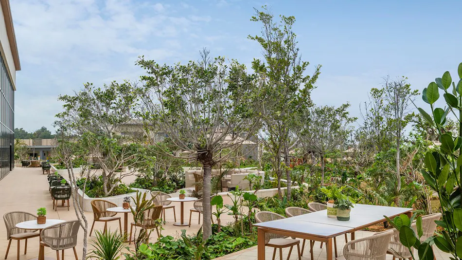 Canopy by Hilton Okinawa Miyakojima Resort