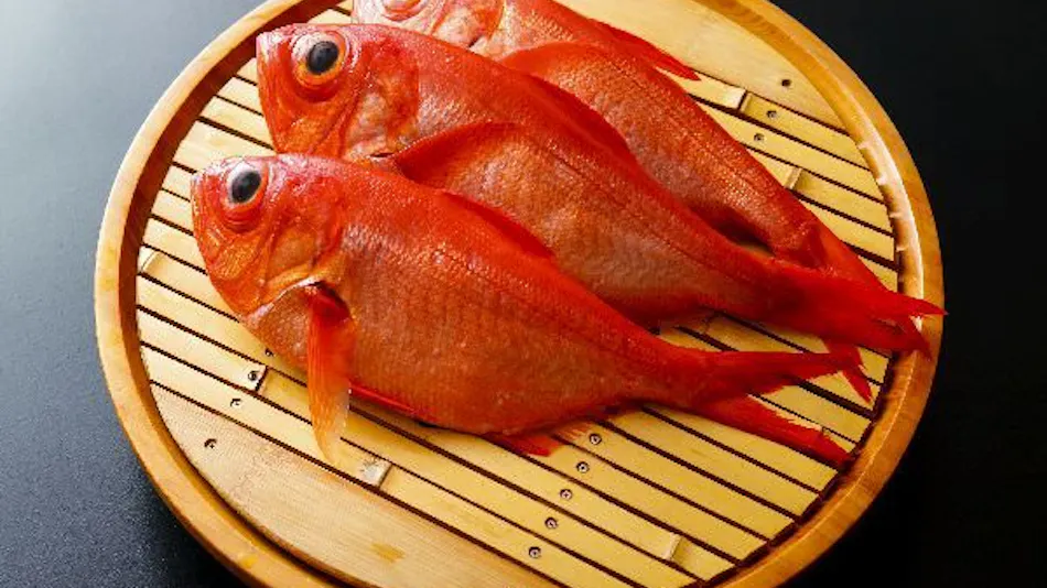 Seafood Wholesaler Inn Kuroshio