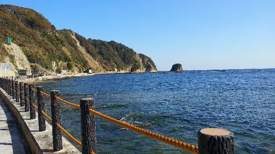 Seafood Wholesaler Inn Kuroshio