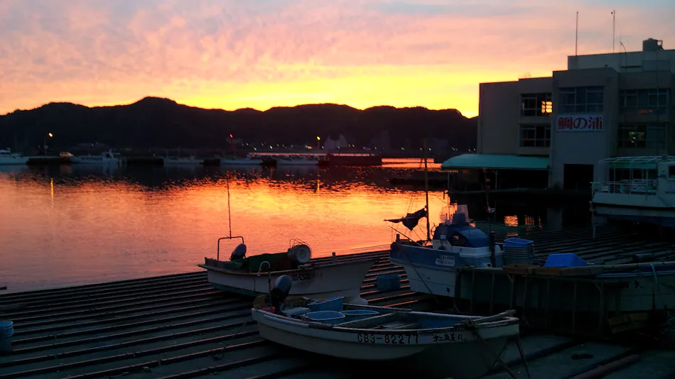 Seafood Wholesaler Inn Kuroshio