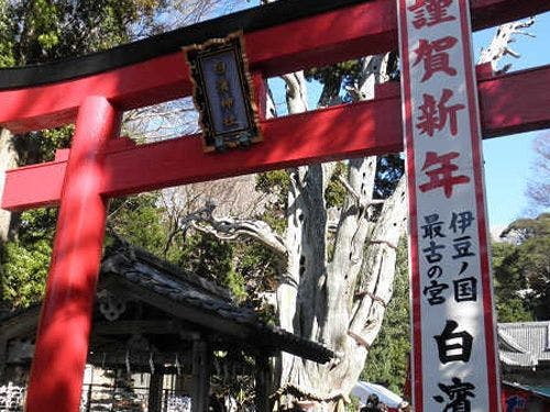 ศาลเจ้าชิราฮามะ ฮัตสึโมเดะ