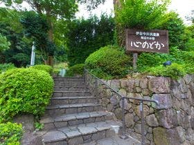 伊豆今井浜温泉旅館 心のどか