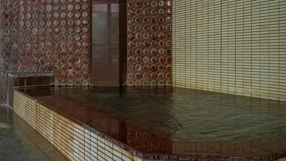 Zazan Minakami (Formerly: Mizukami-kan)