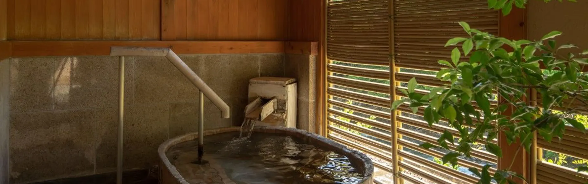 坐山 みなかみ (旧:水上館)