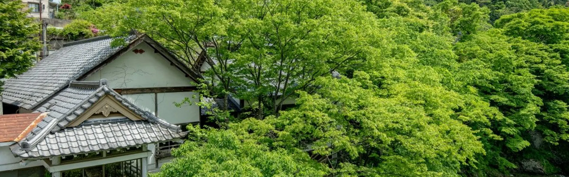 坐山 みなかみ (旧:水上館)