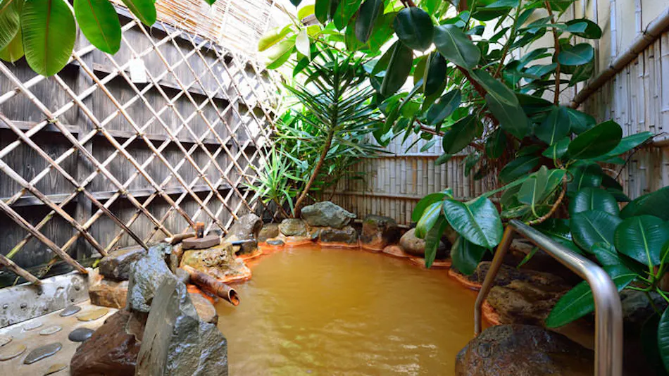 Hirayama Ryokan