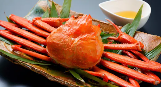 【カニ付きプラン/1人1匹】本日の地魚刺盛&奥豊後豚の木蓮鍋を堪能<朝夕お食事処/貸切風呂無料>
