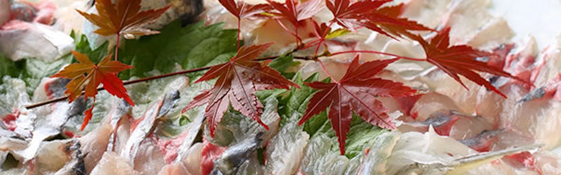 木蓮