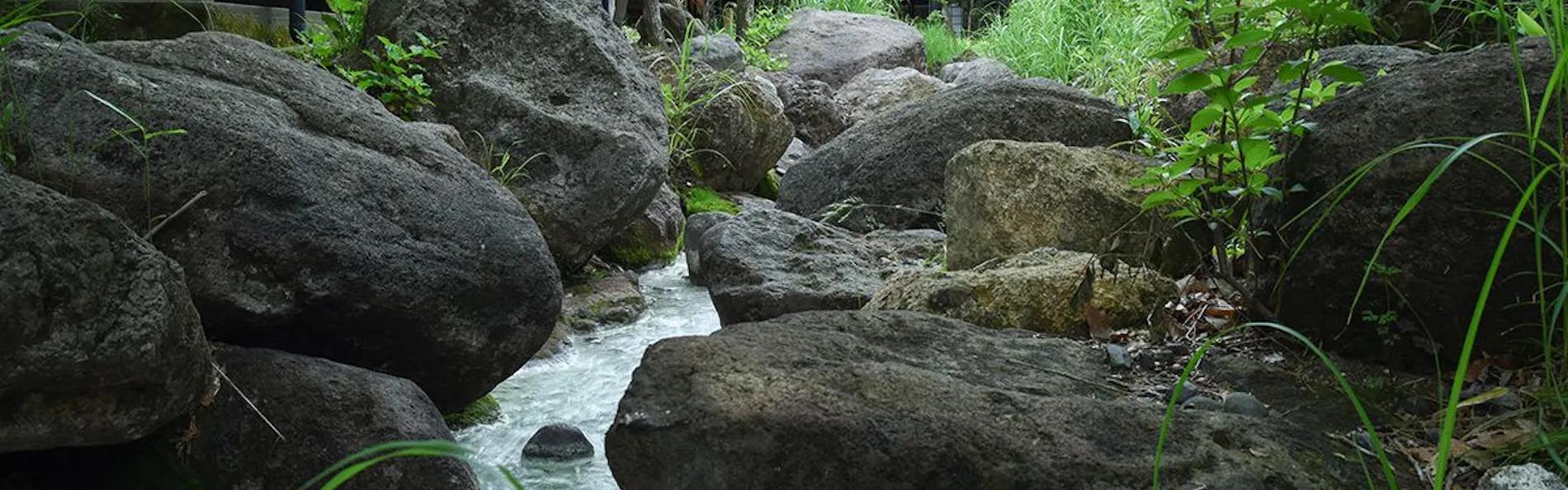 山の宿 寒の地獄旅館