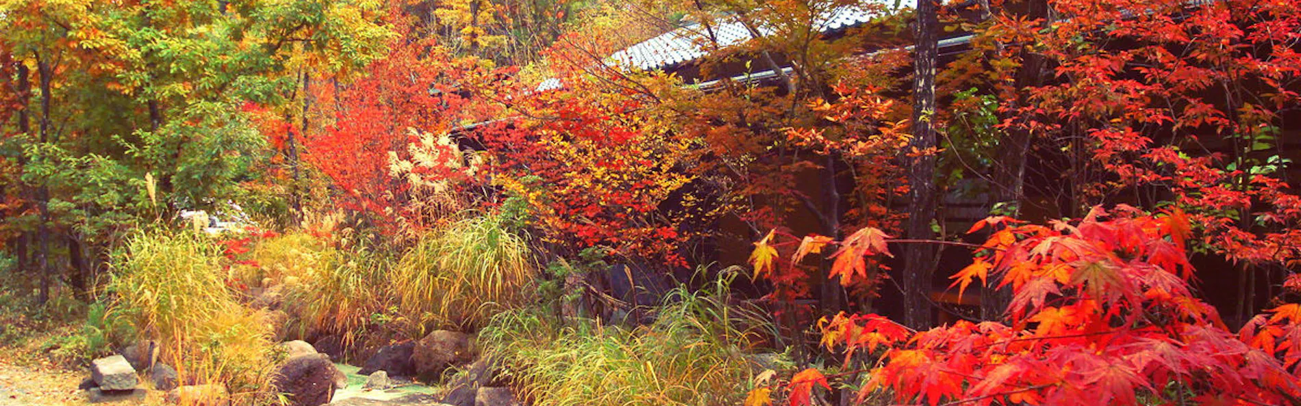 山の宿 寒の地獄旅館