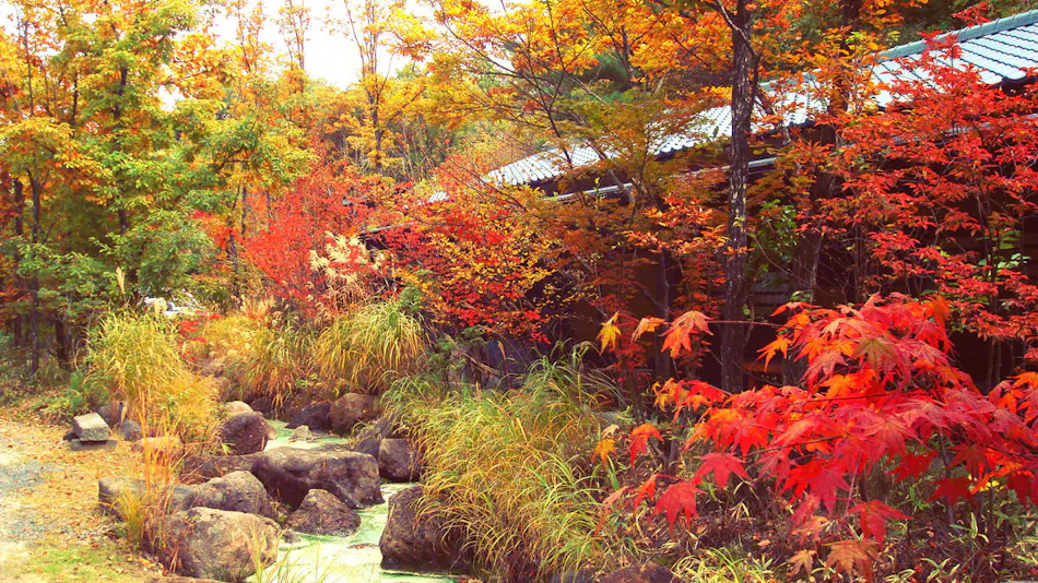Mountain Inn Kan no Jigoku Ryokan