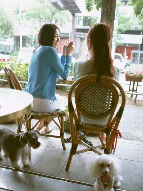 【女子旅】ワンちゃん×ガールズトーク～愛犬家の女子会プラン～【特典付】