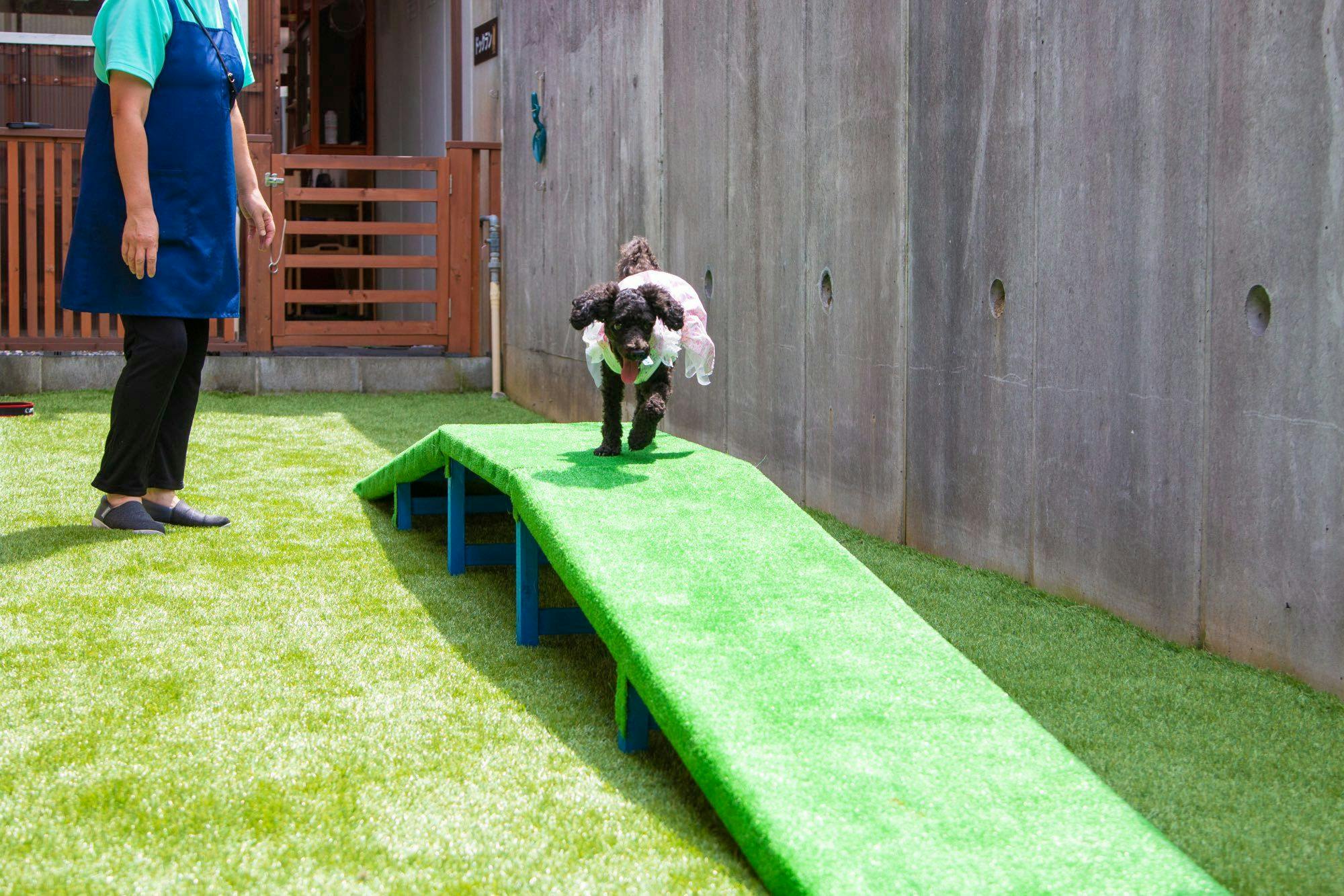 ログハウス愛犬かしま
