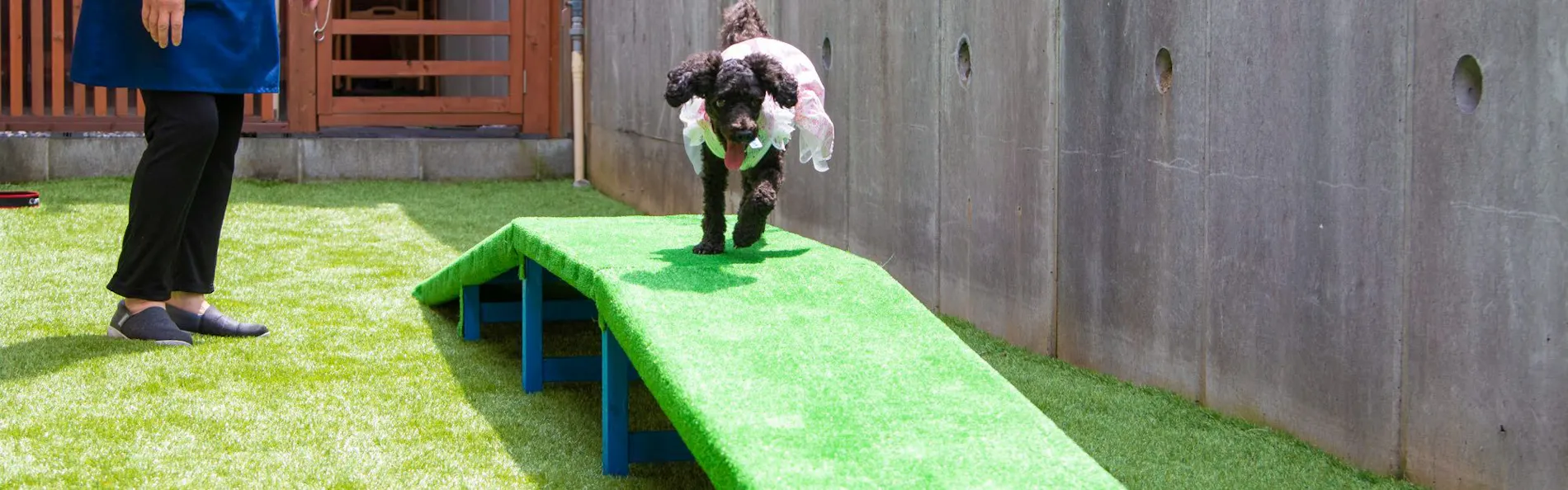 ログハウス愛犬かしま