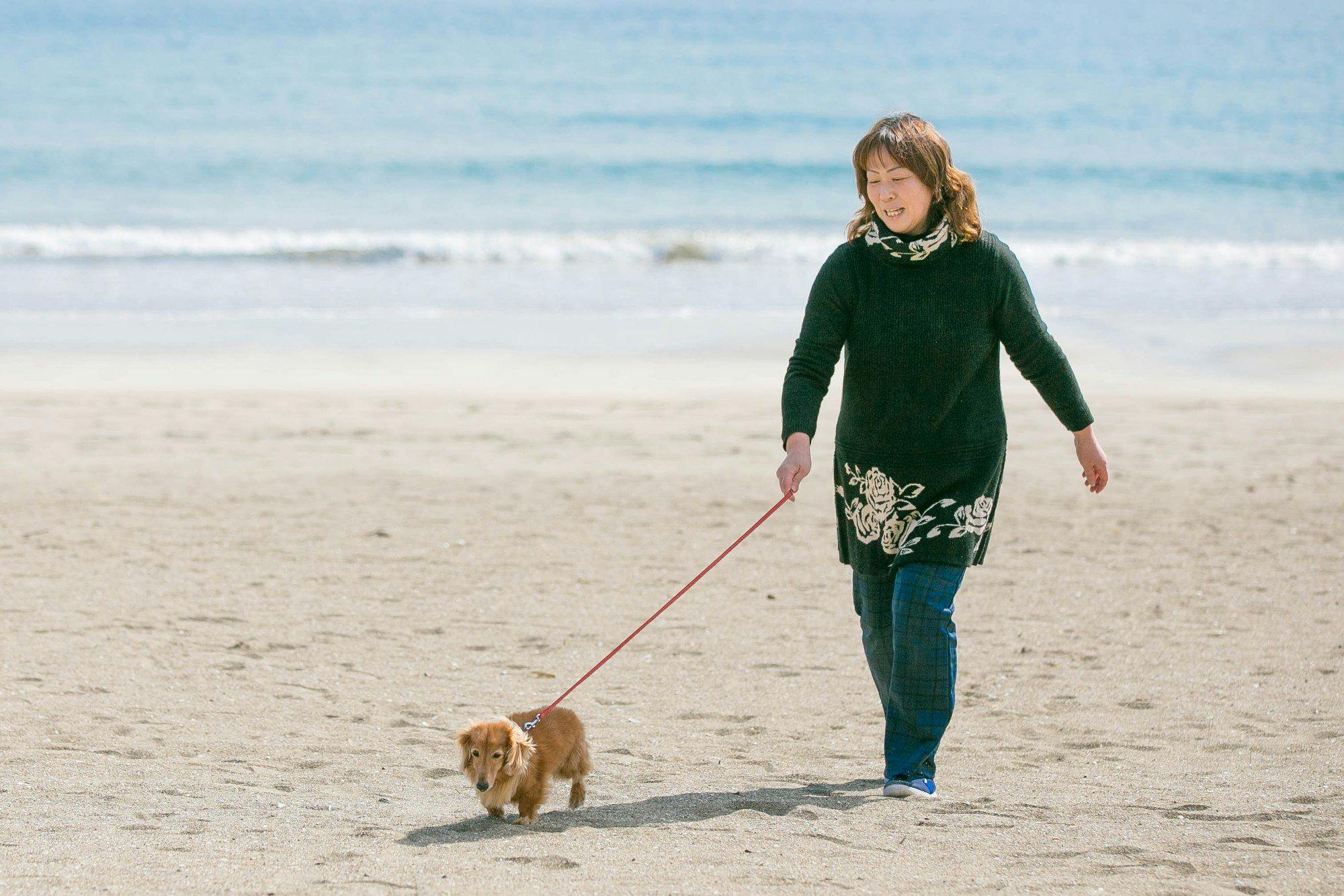 ログハウス愛犬かしま