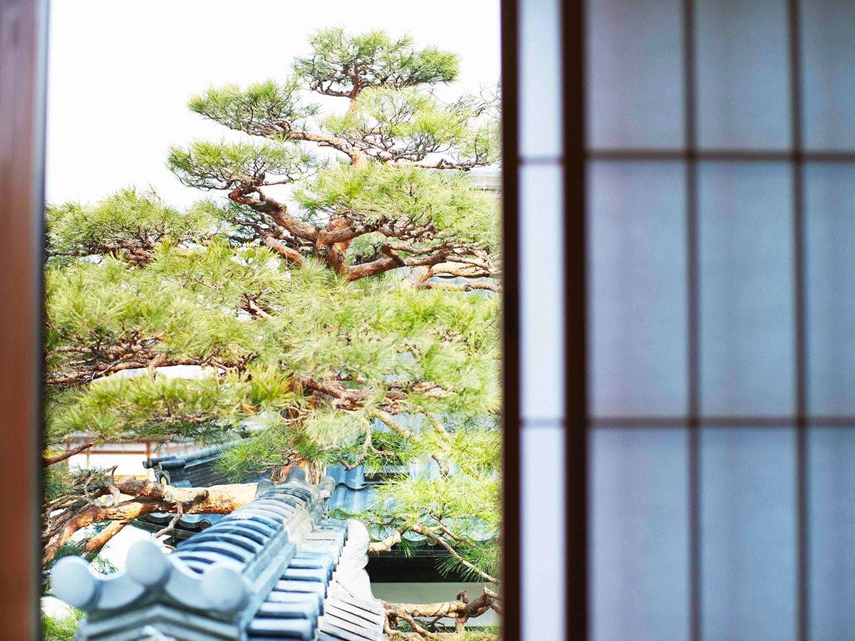 信州善光寺薬王院