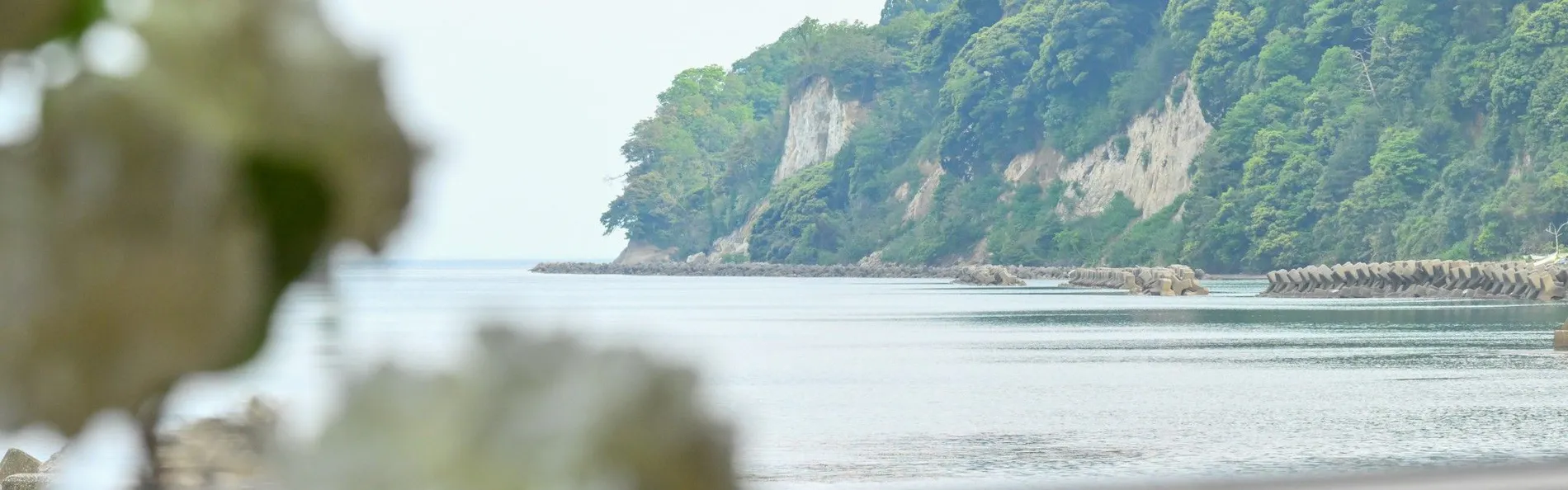 きらめく海と特別な時間 氷見オーベルジュ Hashimotoya