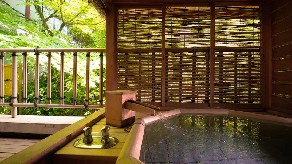 Kintaikyo Onsen Iwakuni Kokusai Kanko Hotel