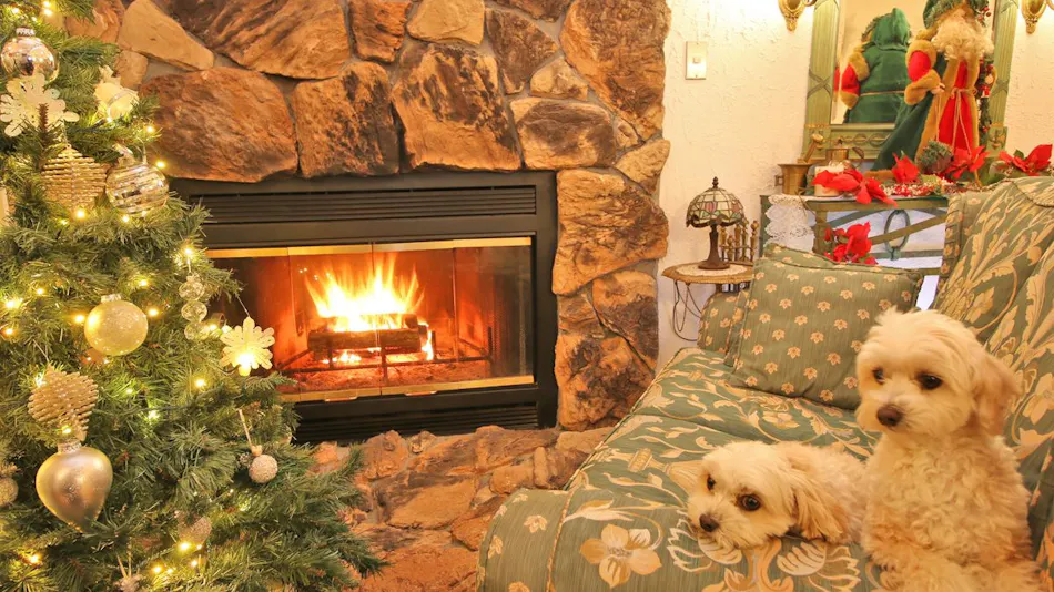 Pet-Friendly Petit Hotel The Heartfield Inn