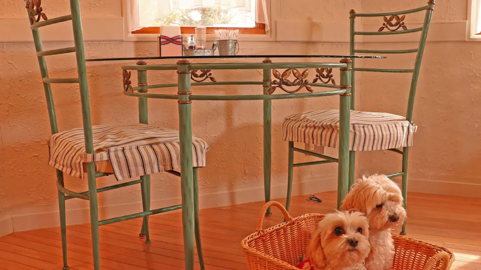 Pet-Friendly Petit Hotel The Heartfield Inn