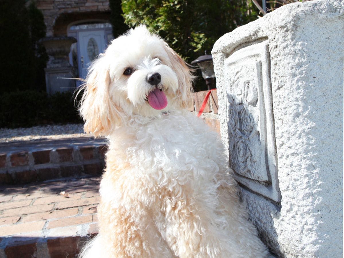 みんなが来るのを待ってるよー☆