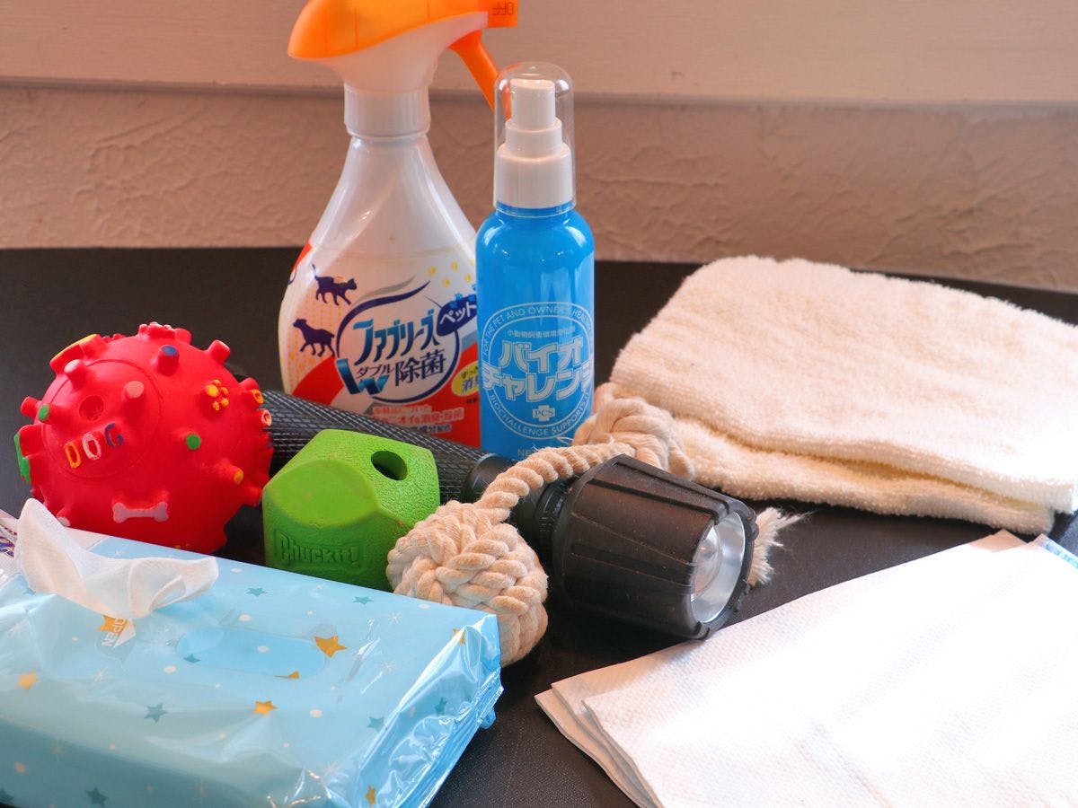 ワンちゃんアメニティー各種揃えております
