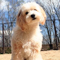 愛犬と泊まれるプチホテル ザ ハートフィールド イン の空室状況を確認する 宿泊予約は 一休 Com 愛犬と泊まれるプチホテル ザ ハートフィールド イン の空室状況を確認する 宿泊予約は 一休 Com