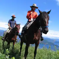 ประสบการณ์ขี่ม้า