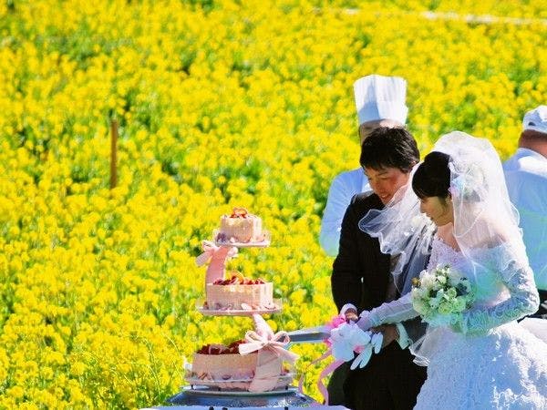 宿彩「湯食笑門」の宿　石廊館