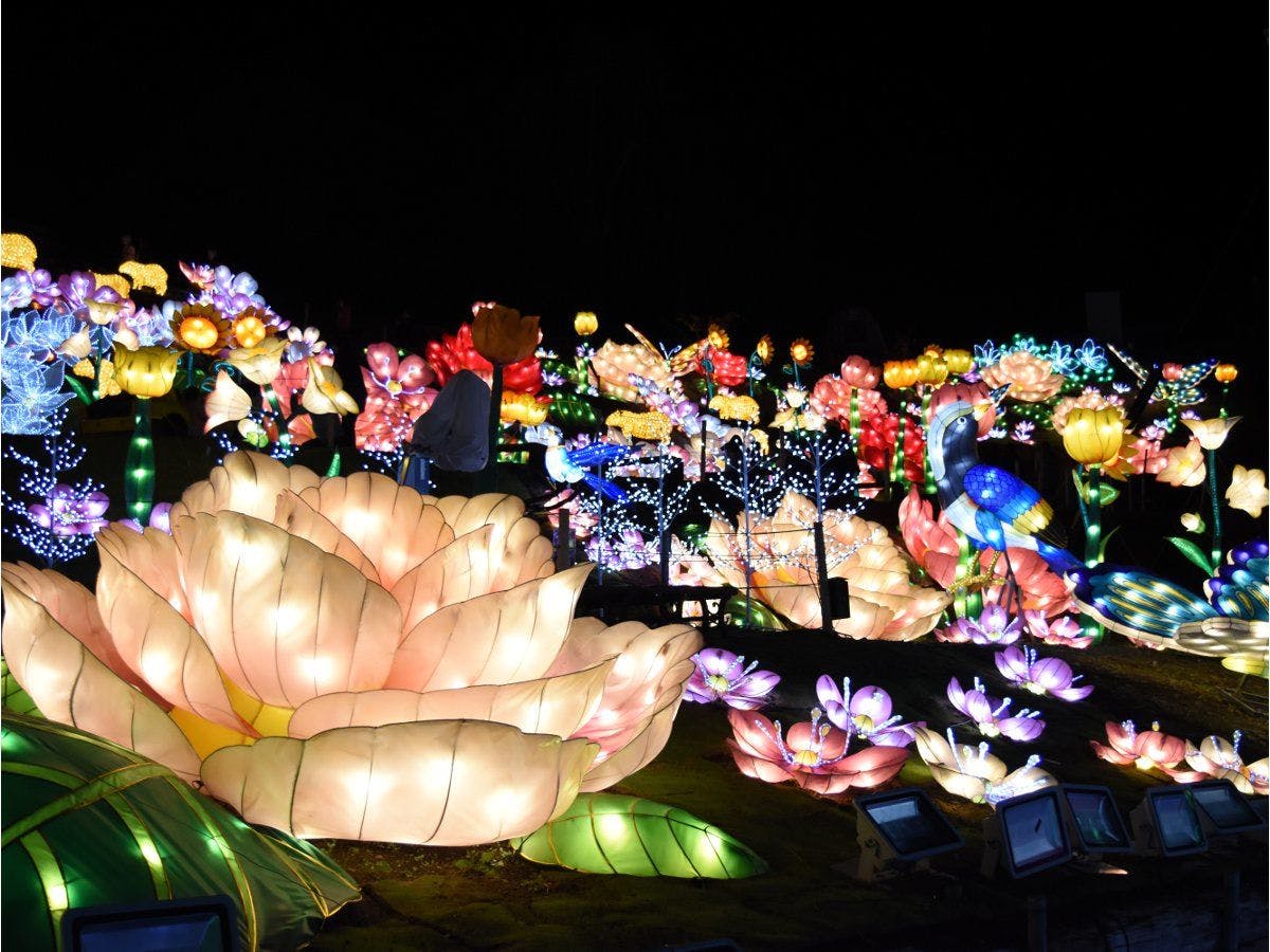 グランイルミ～2ndシーズン～