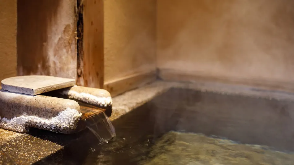 Izu Atagawa Onsen: A Journey Through Six Private Baths - Yuhana Mankai, A Retreat for Two