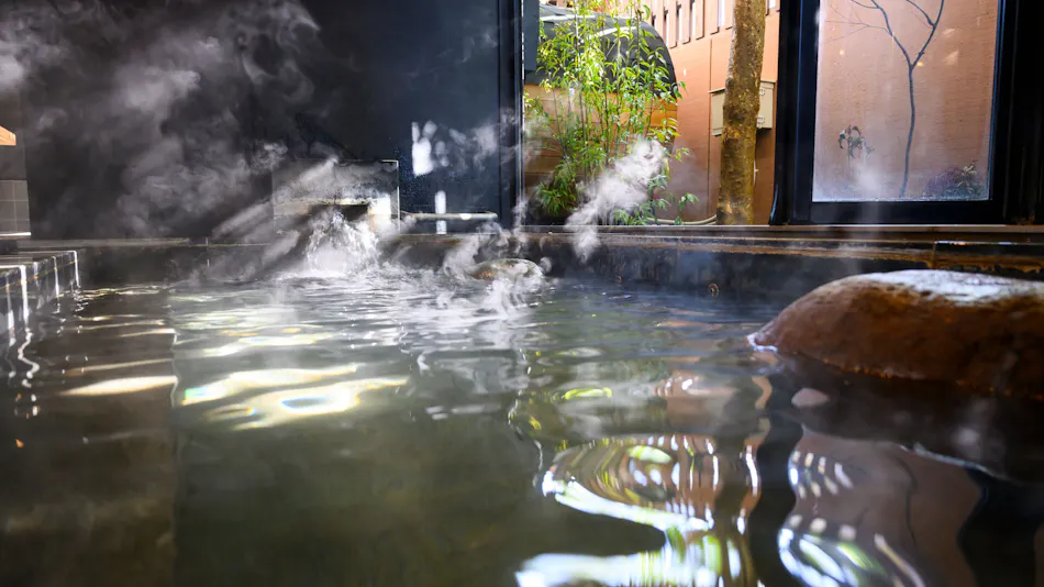 Ureshino Onsen Hidden Inn Hana no Shizuku