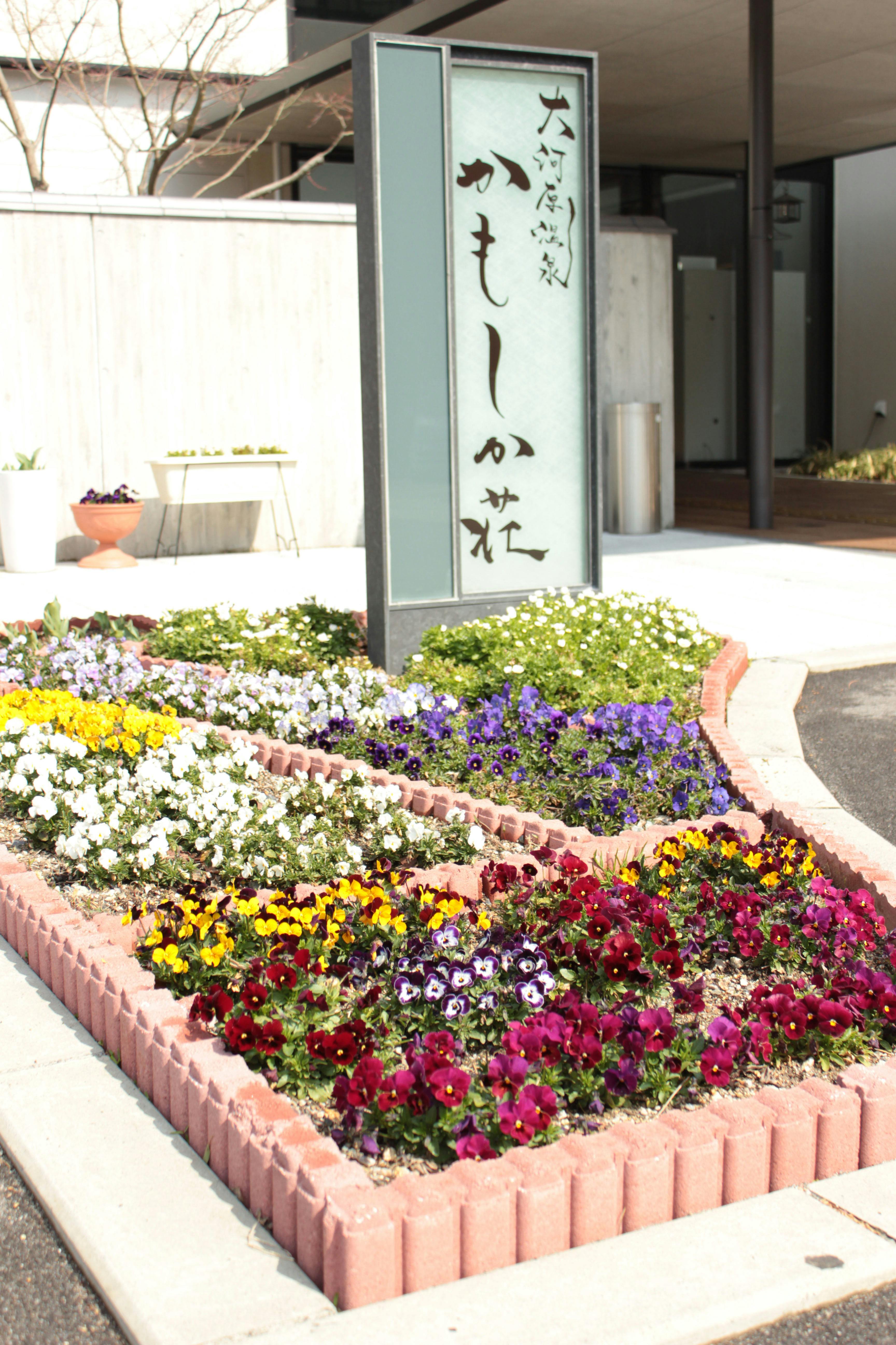 ดอกไม้หลากสีสันต้อนรับแขกผู้มาเยือน