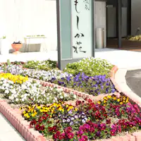 ดอกไม้หลากสีสันต้อนรับแขกผู้มาเยือน