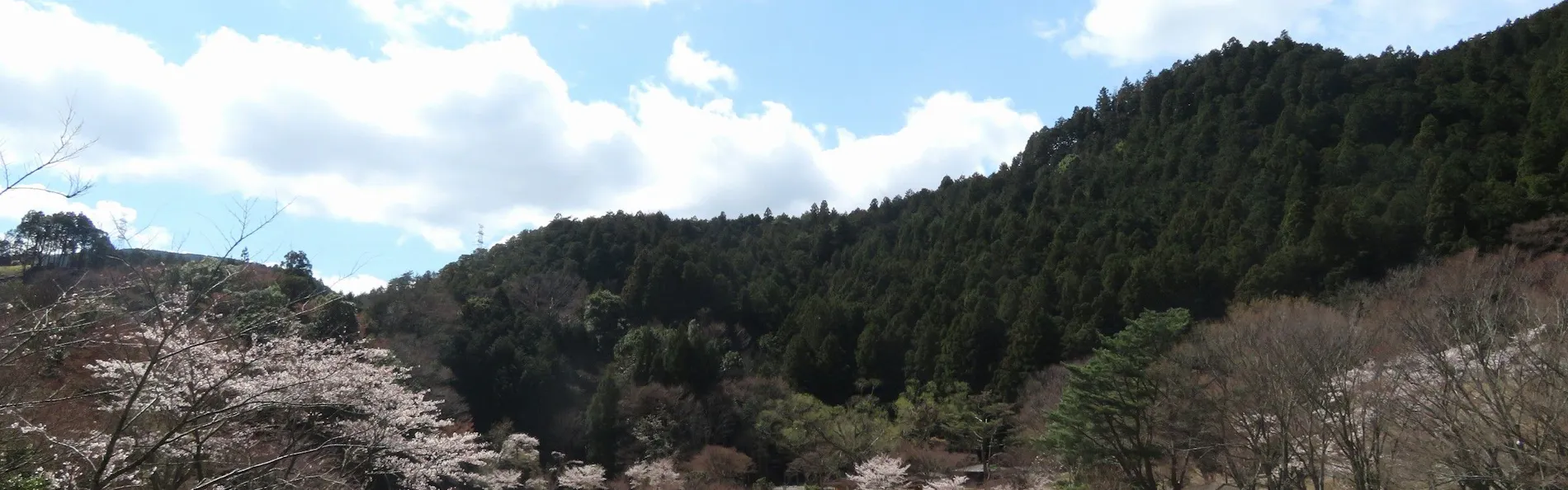 大河原温泉 かもしか荘