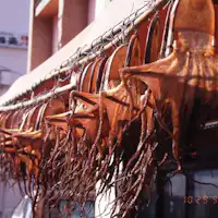 ทิวทัศน์เกาะ